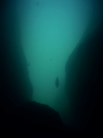 DSCN2341