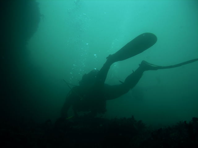DSCN2356