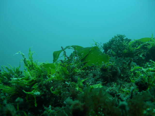 DSCN2370