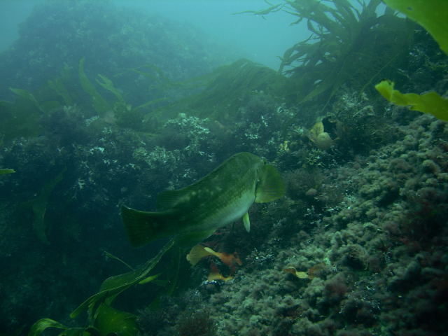 DSCN2372