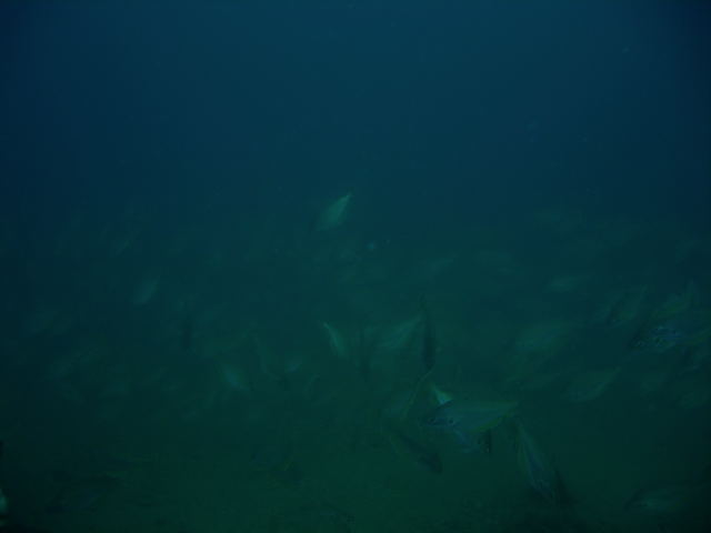 DSCN2380