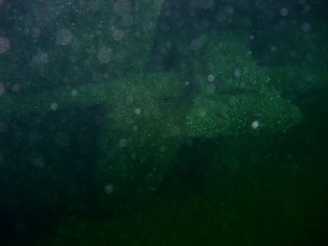 DSCN2392
