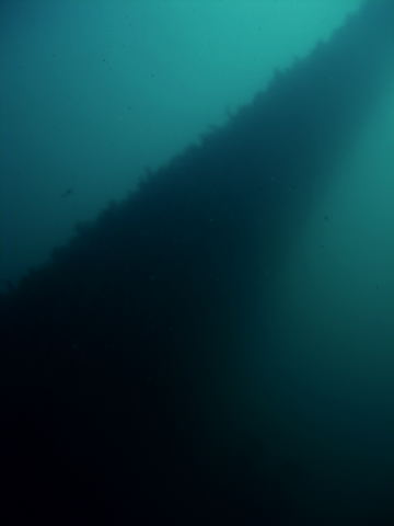 DSCN2393