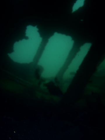 DSCN2396