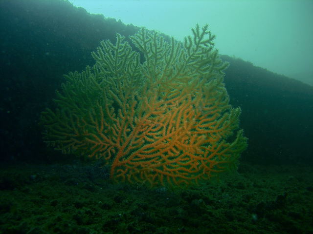 DSCN2407