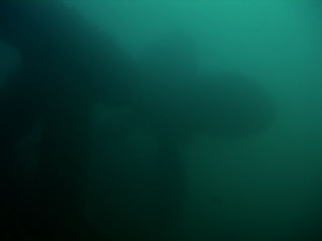 DSCN2413