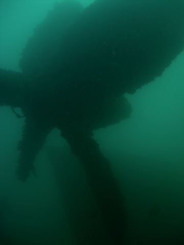 DSCN2414