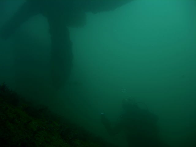 DSCN2415
