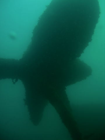 DSCN2416