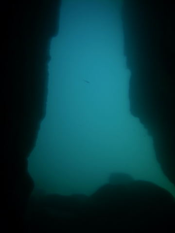 DSCN2453