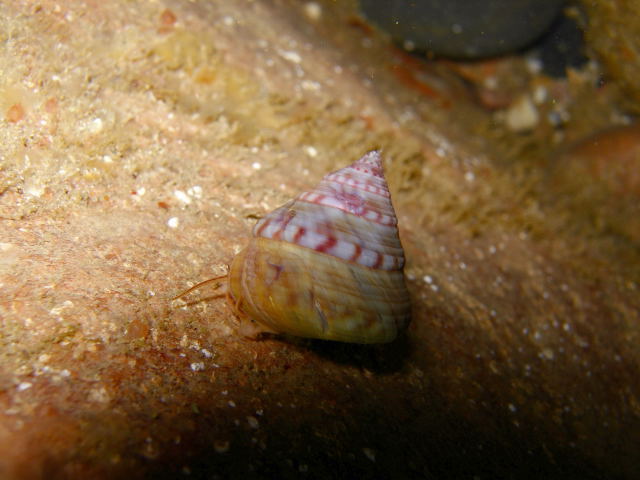 DSCN2469