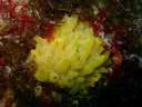 DSCN2246