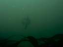 DSCN2317