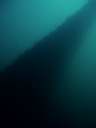 DSCN2393