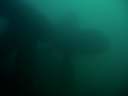 DSCN2413