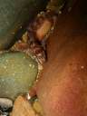 DSCN2465