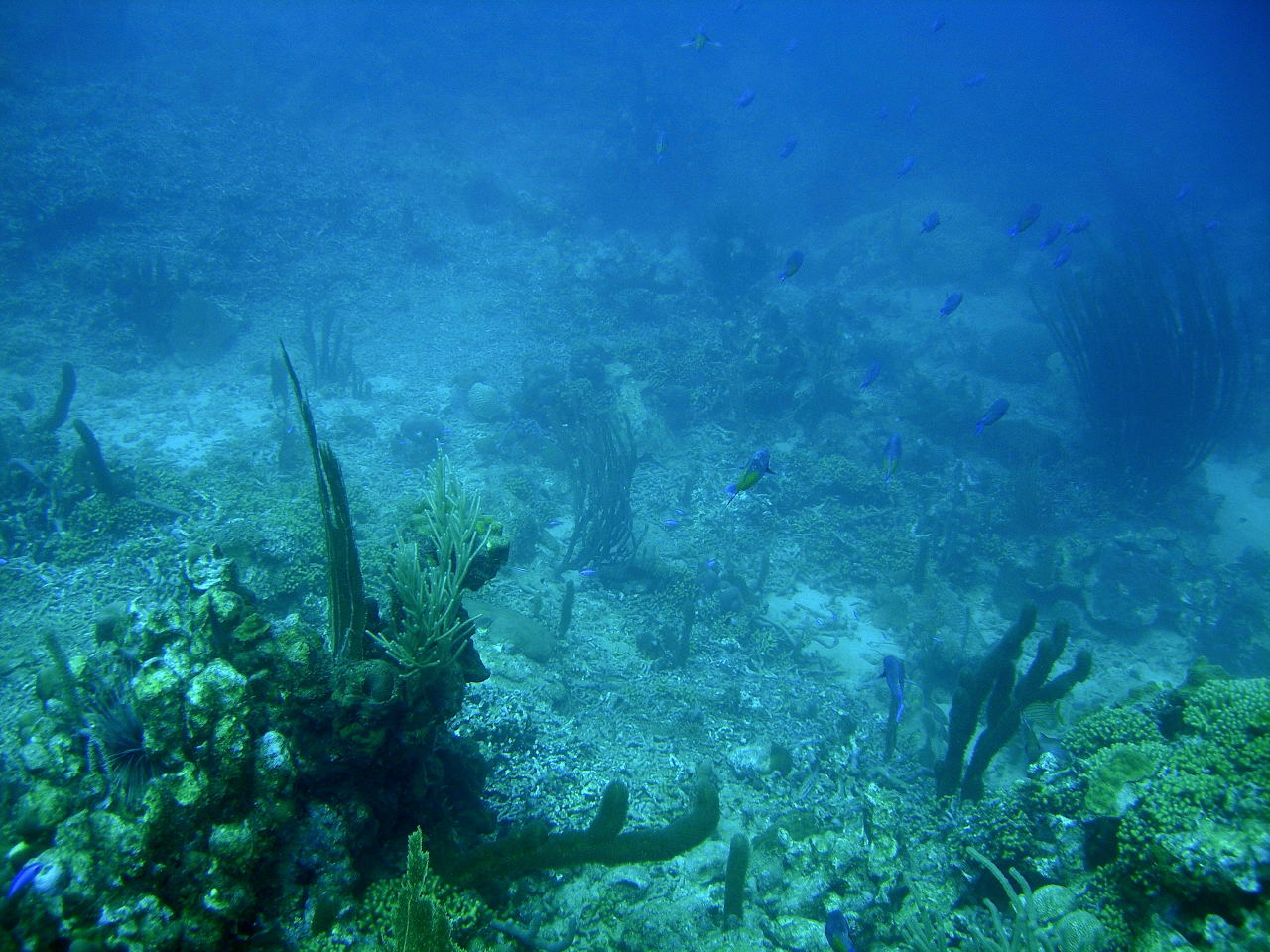 DSCN0435