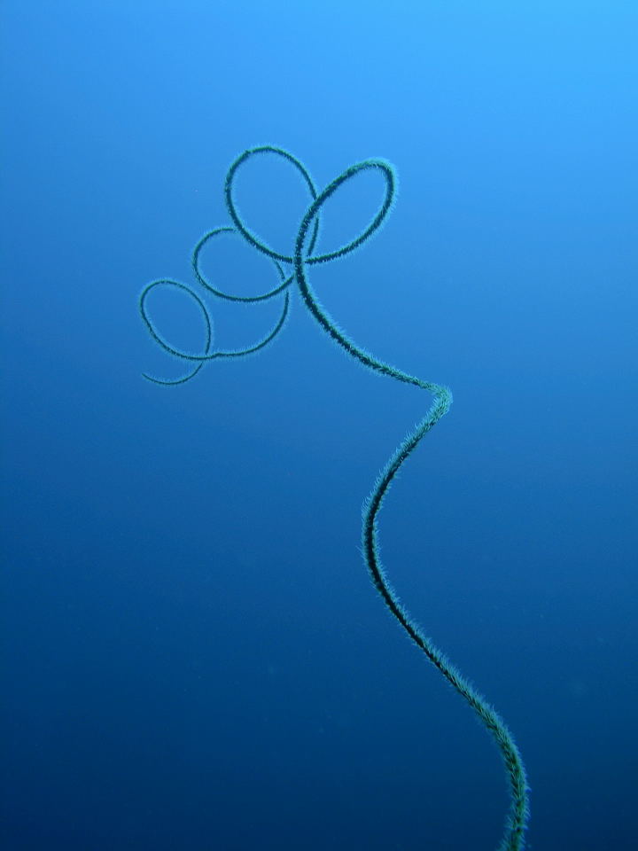 DSCN0438