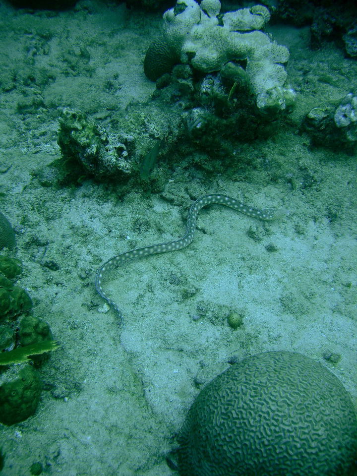 DSCN0520