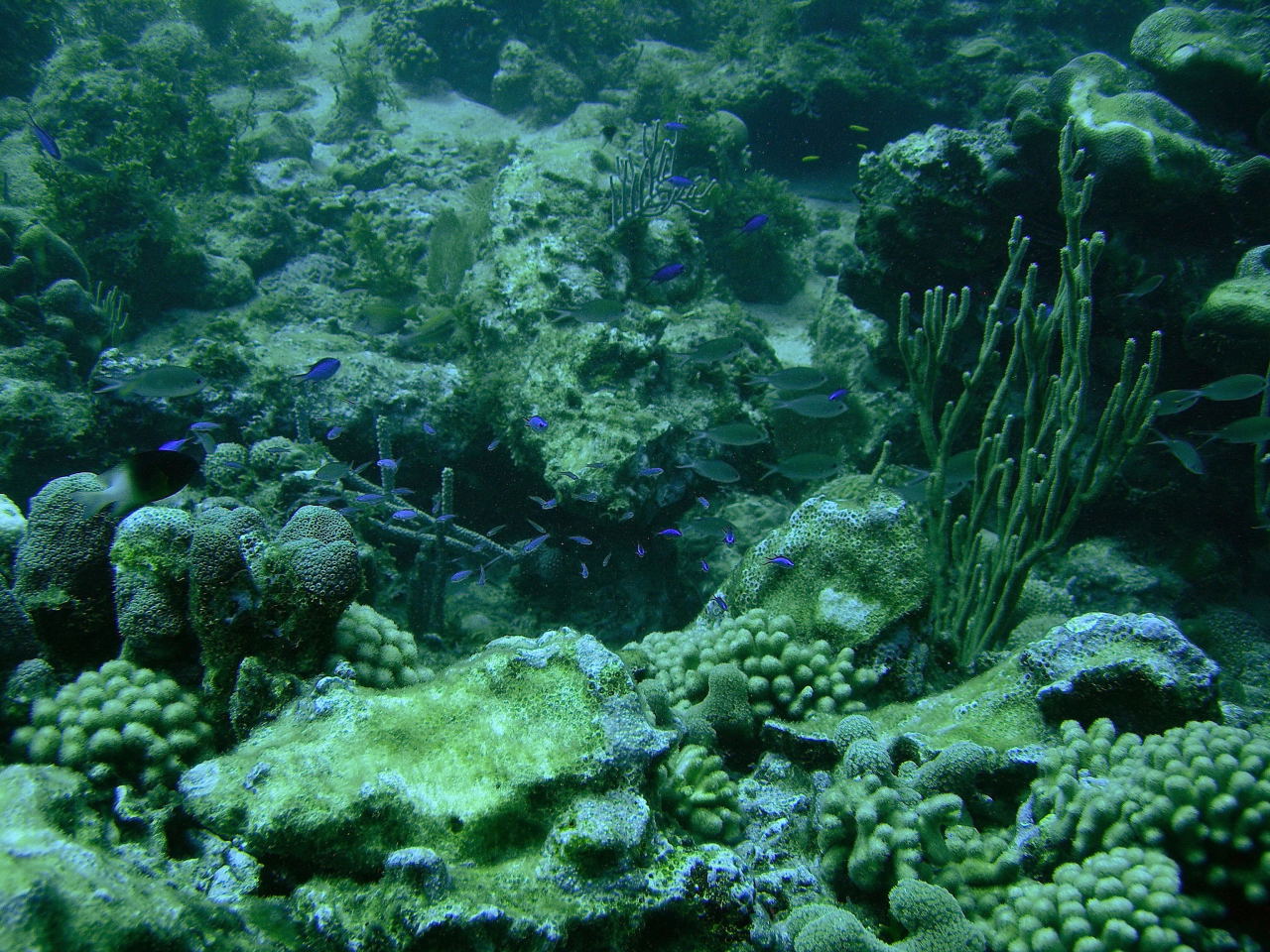 DSCN0541
