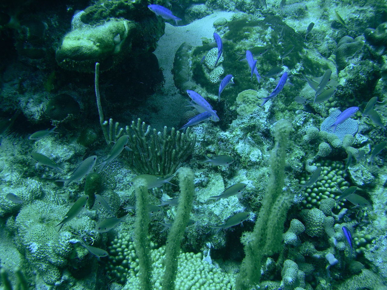 DSCN0542