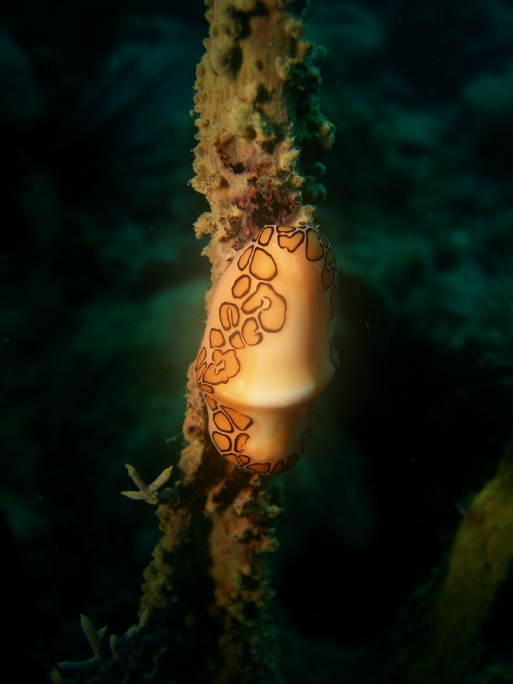DSCN0641