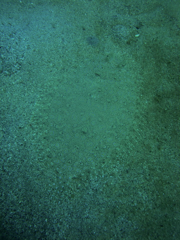 DSCN0642