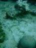 DSCN0520