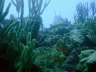 DSCN0532
