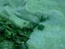 DSCN0608